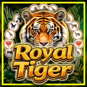 Royal Tiger Spinner