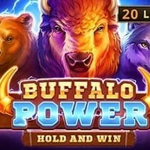 Buffalo Power Hold and Win game cover